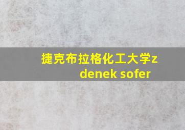 捷克布拉格化工大学zdenek sofer